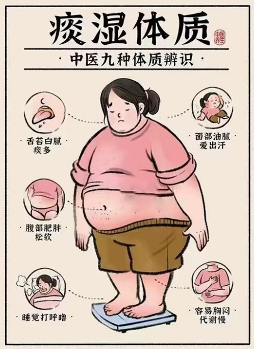 ​痰湿质：健脾祛湿才是根本