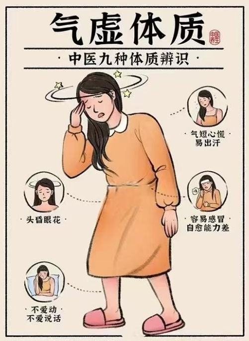 气虚质：补气固本是根本关键