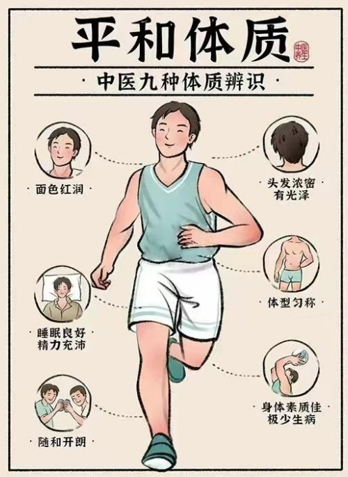 平和质：健康体质的黄金标准
