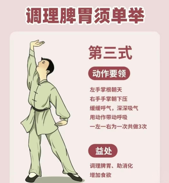 “调理脾胃须单举”，唤醒脾胃焕新颜！