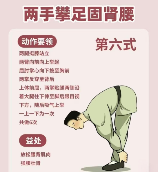 “两手攀足固肾腰”，强肾健体焕新姿！